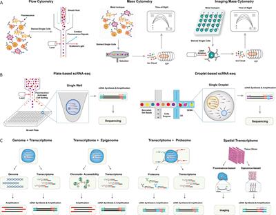 Frontiers Applications Of Single Cell Omics In Tumor Immunology